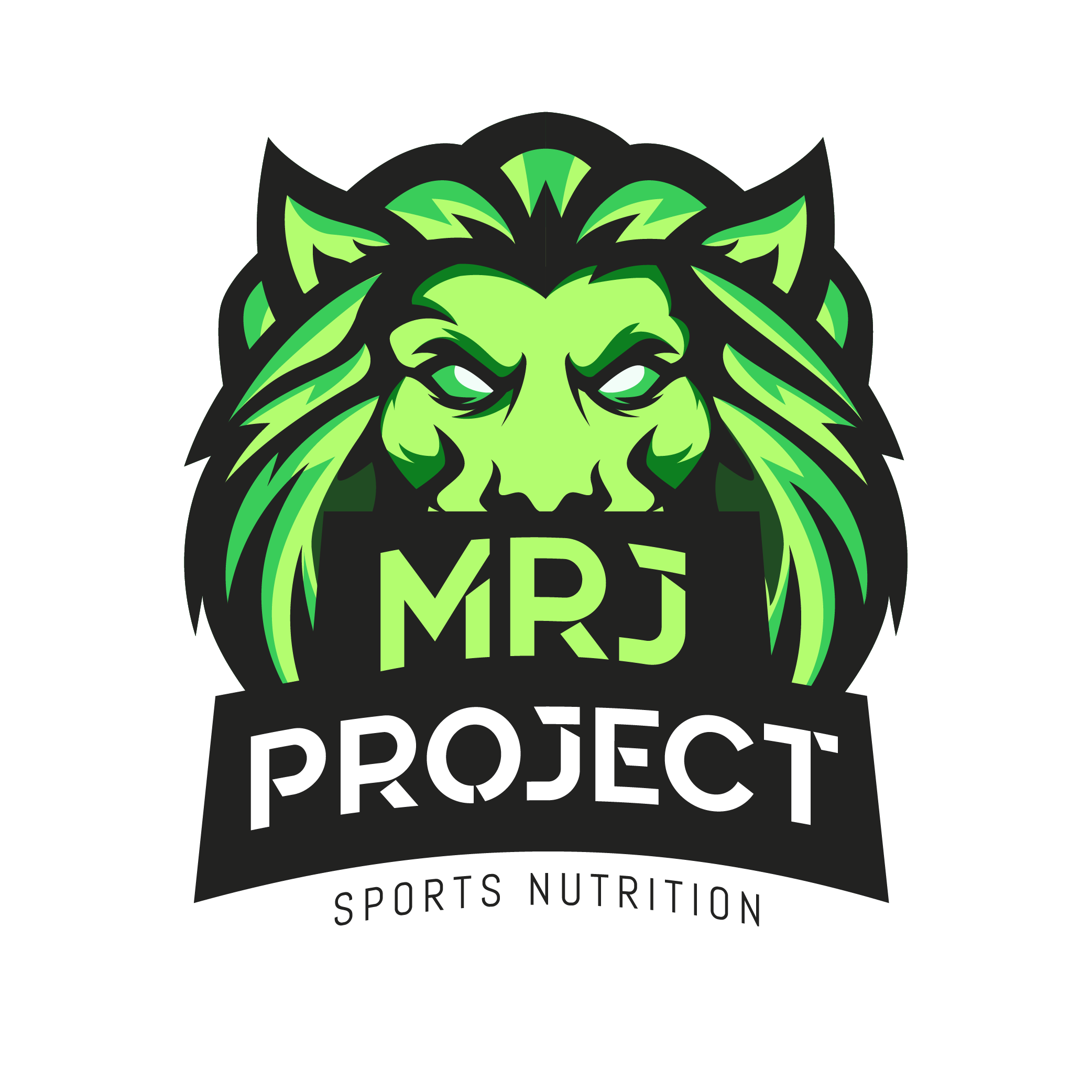 MRJ Project