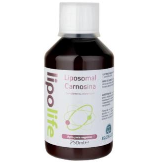LIPOLIFE LIPOSOMAL CARNOSINA 250ml. (EQUISALUD)