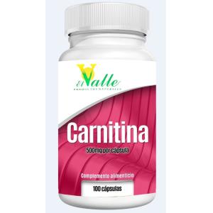 L-CARNITINA 100cap. (EL VALLE)